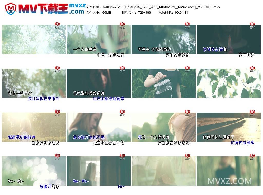 李瑨瑶-忘记一个人有多难_国语_流行_MD302831